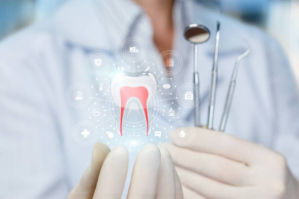 Best Dental Fillings (Composite and Amalgam)  in Rainbow Springs, FL