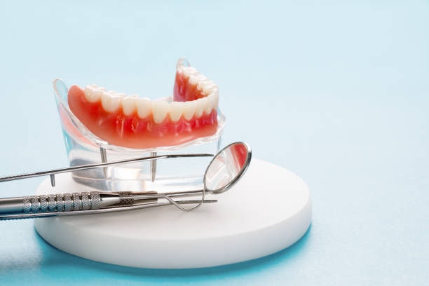 Best Dental Fillings (Composite and Amalgam)  in Rainbow Springs, FL